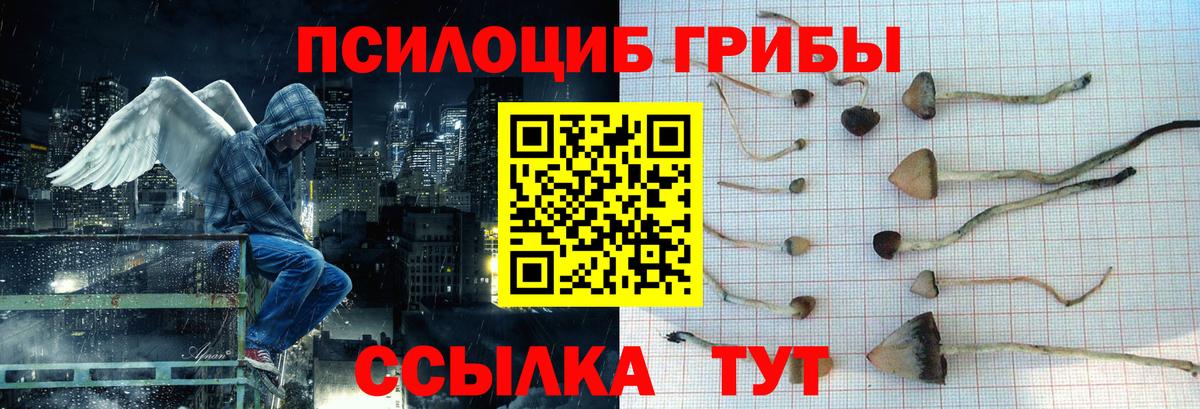 Псилоцибиновые грибы прущие грибы  Вход с VPN  Видное 